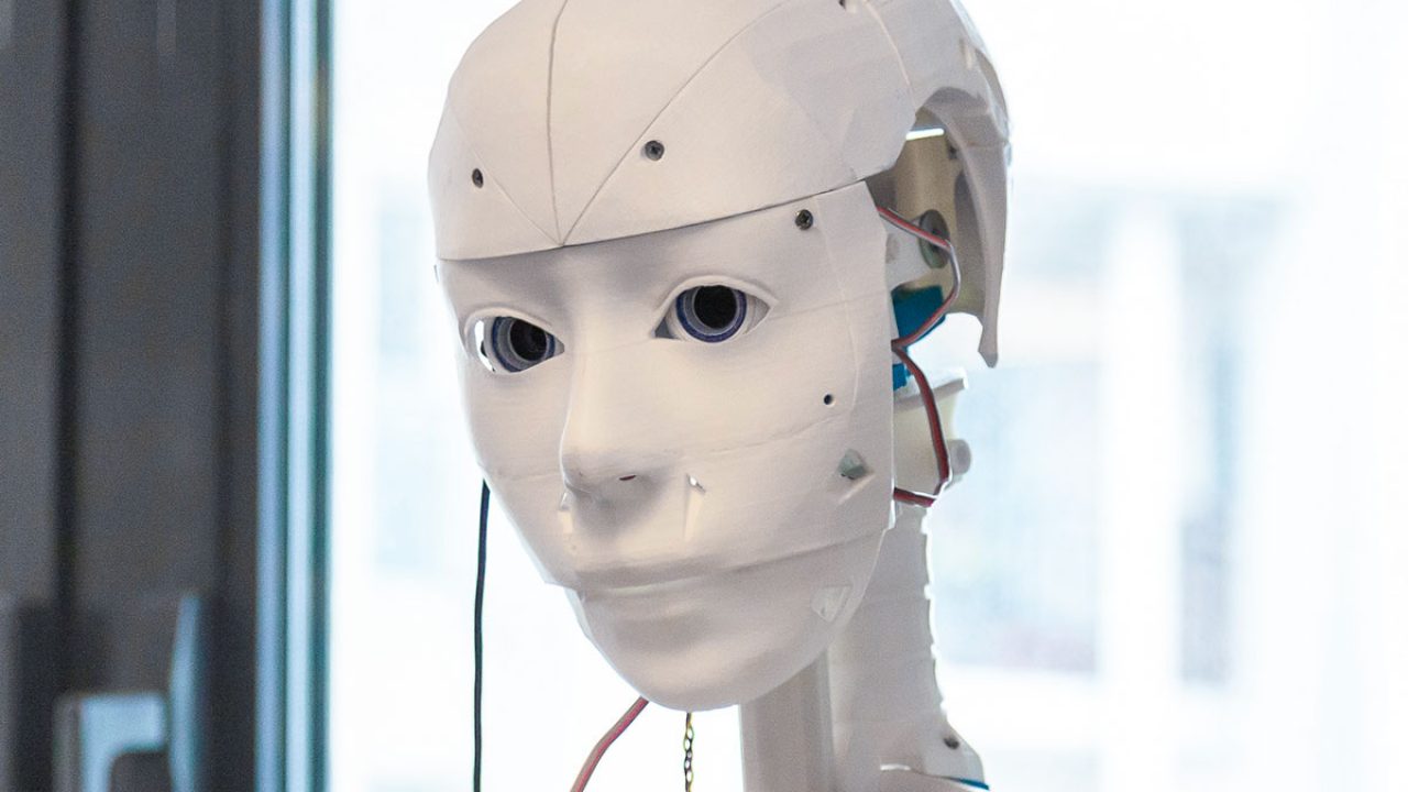 Testo Inmoov InMoov – R&D Testbed – Ahmed Robotics
